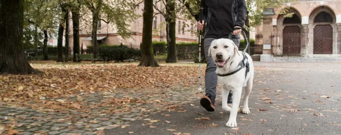 Communication around assistance dogs